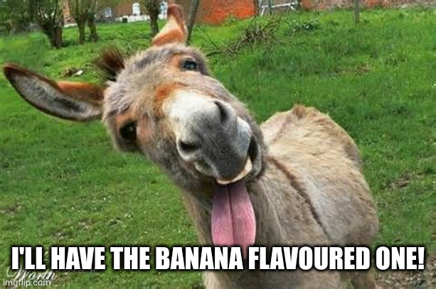 Laughing Donkey | I'LL HAVE THE BANANA FLAVOURED ONE! | image tagged in laughing donkey | made w/ Imgflip meme maker