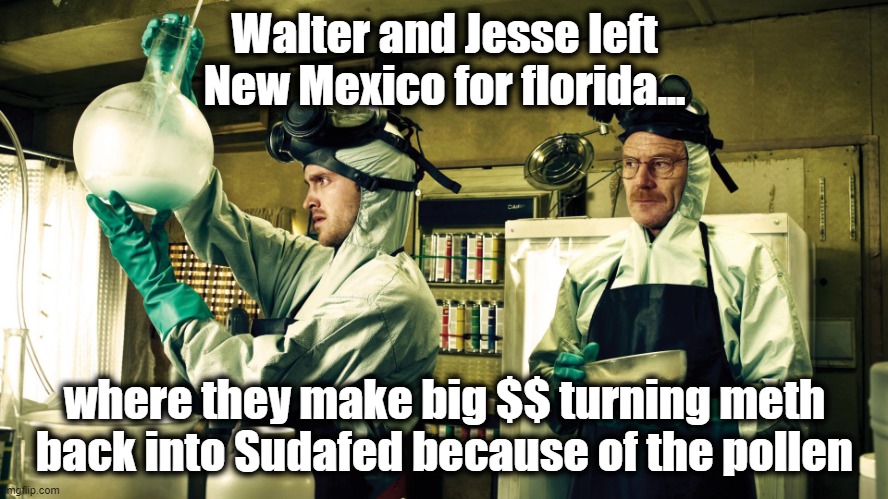 Walter White and Jesse Pinkman | Walter and Jesse left New Mexico for florida... where they make big $$ turning meth back into Sudafed because of the pollen | image tagged in walter white and jesse pinkman,pollen,allergies,meth,breaking bad | made w/ Imgflip meme maker