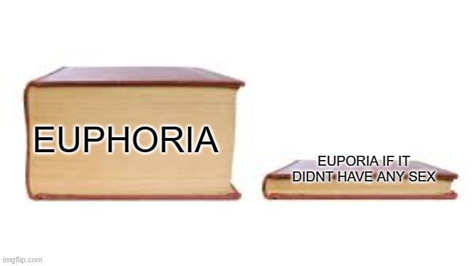 have a good summer i probably wont be posting for a month because ill be on vacation | EUPORIA IF IT DIDNT HAVE ANY SEX; EUPHORIA | image tagged in big book small book,dark humor,netflix | made w/ Imgflip meme maker