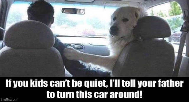 image tagged in dogs | made w/ Imgflip meme maker