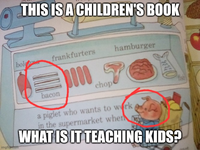 Messed up | THIS IS A CHILDREN'S BOOK; WHAT IS IT TEACHING KIDS? | image tagged in pig | made w/ Imgflip meme maker