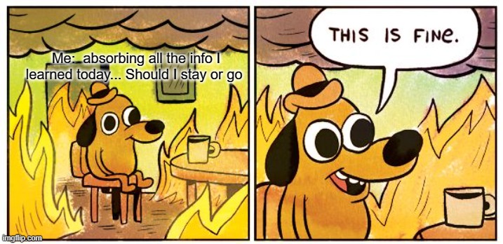 fellow | Me:  absorbing all the info I learned today... Should I stay or go | image tagged in memes,this is fine | made w/ Imgflip meme maker