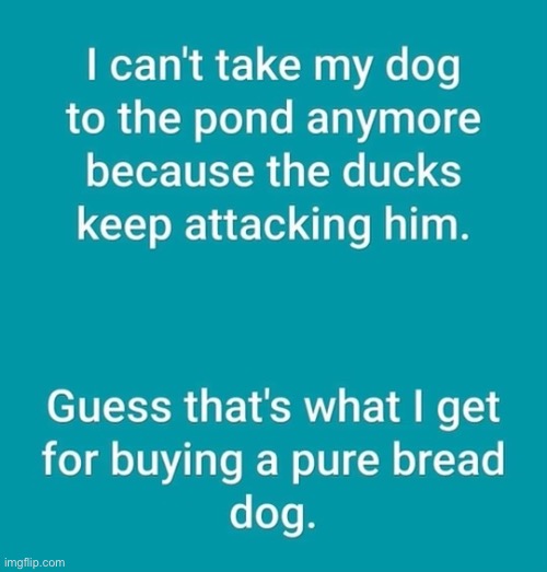 Here’s a free dad joke for you | image tagged in dad,jokes | made w/ Imgflip meme maker