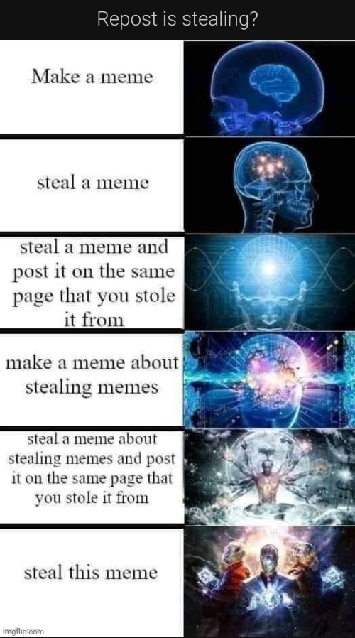 I stole this from someone who I think stole this | image tagged in stolen meme | made w/ Imgflip meme maker