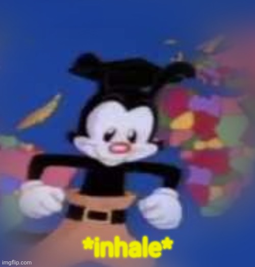 YAKKO | *inhale* | image tagged in yakko | made w/ Imgflip meme maker