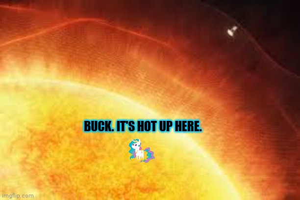 Princess Celestia visits the sun | BUCK. IT'S HOT UP HERE. | image tagged in why are you reading this,princess,princess celestia,mlp meme | made w/ Imgflip meme maker
