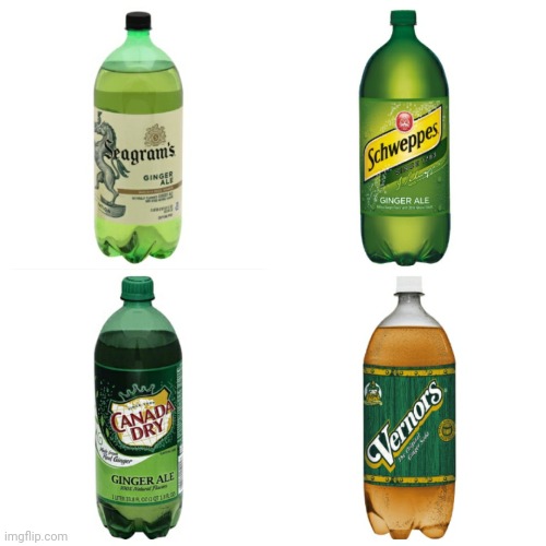 Ginger Ale Debate | image tagged in ginger ale debate | made w/ Imgflip meme maker