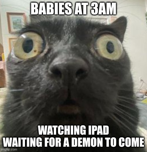 Babies at 3AM, watching things | BABIES AT 3AM; WATCHING IPAD WAITING FOR A DEMON TO COME | image tagged in jinx staring | made w/ Imgflip meme maker