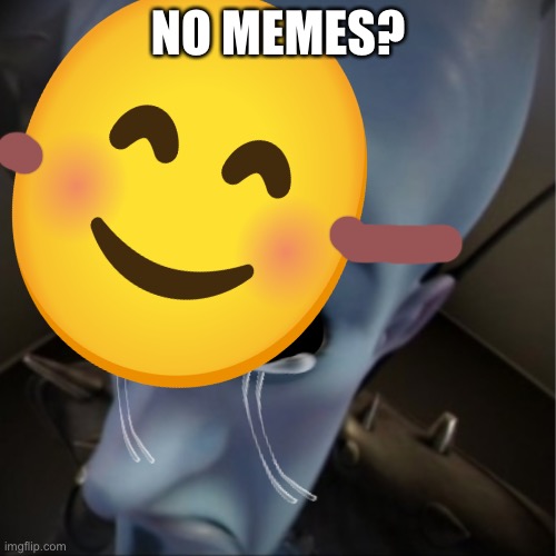 NO MEMES? | image tagged in im ok | made w/ Imgflip meme maker