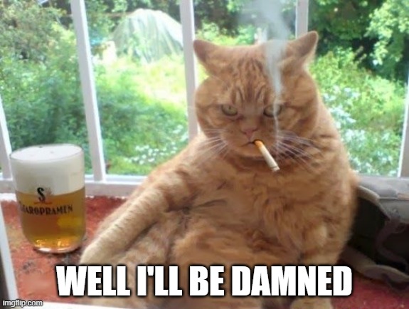 Well I'll Be Damned | WELL I'LL BE DAMNED | image tagged in cats | made w/ Imgflip meme maker