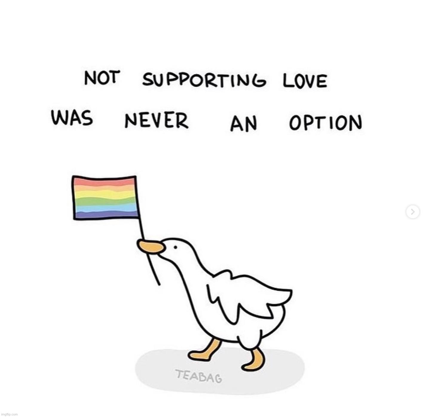 Not supporting love was never an option | image tagged in not supporting love was never an option | made w/ Imgflip meme maker