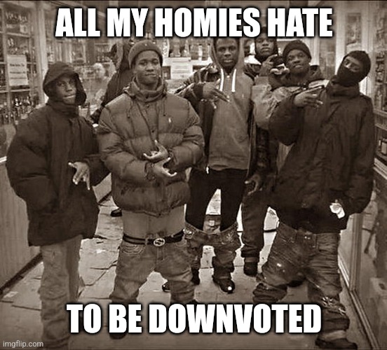 All My Homies Hate | ALL MY HOMIES HATE; TO BE DOWNVOTED | image tagged in all my homies hate | made w/ Imgflip meme maker