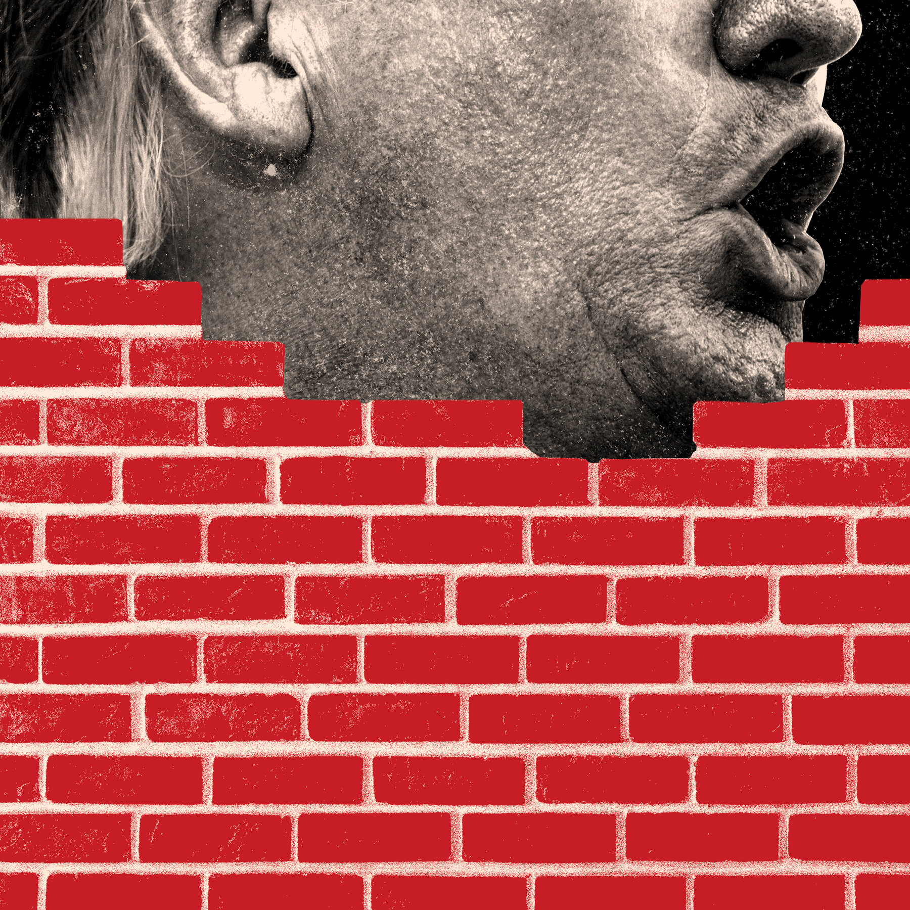 High Quality Donald Trump wall of bullshit Blank Meme Template