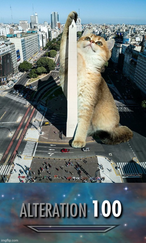 Giant kitty | image tagged in alteration 100,photoshop,giant,cat,cats,memes | made w/ Imgflip meme maker