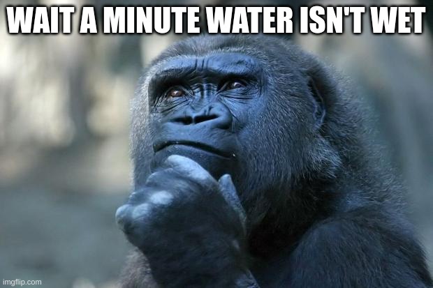 Water isn't Wet | WAIT A MINUTE WATER ISN'T WET | image tagged in deep thoughts | made w/ Imgflip meme maker