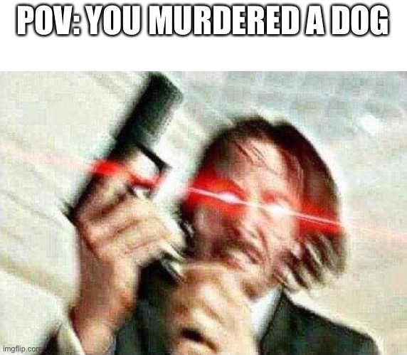 Ah shit | POV: YOU MURDERED A DOG | image tagged in john wick,dog,gun | made w/ Imgflip meme maker