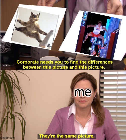 They look the same!? | me | image tagged in memes,they're the same picture,cats | made w/ Imgflip meme maker