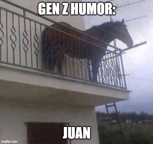 Juan | GEN Z HUMOR: JUAN | image tagged in juan | made w/ Imgflip meme maker