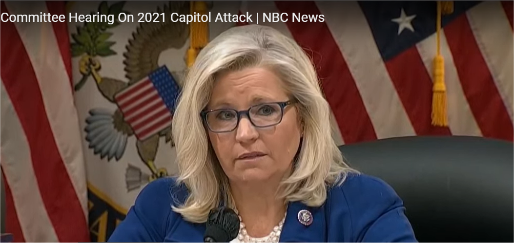 High Quality Liz Cheney Hot Freedom Right Common Sense Liberty Blank Meme Template