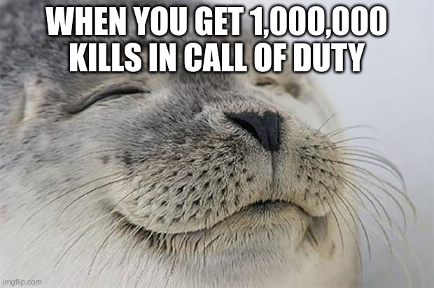 Satisfied Seal | WHEN YOU GET 1,000,000 KILLS IN CALL OF DUTY | image tagged in memes,satisfied seal | made w/ Imgflip meme maker