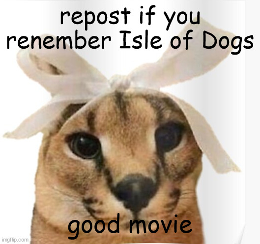 Miss Floppa | repost if you renember Isle of Dogs; good movie | image tagged in miss floppa | made w/ Imgflip meme maker