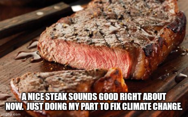 Steak | A NICE STEAK SOUNDS GOOD RIGHT ABOUT NOW.  JUST DOING MY PART TO FIX CLIMATE CHANGE. | image tagged in steak | made w/ Imgflip meme maker