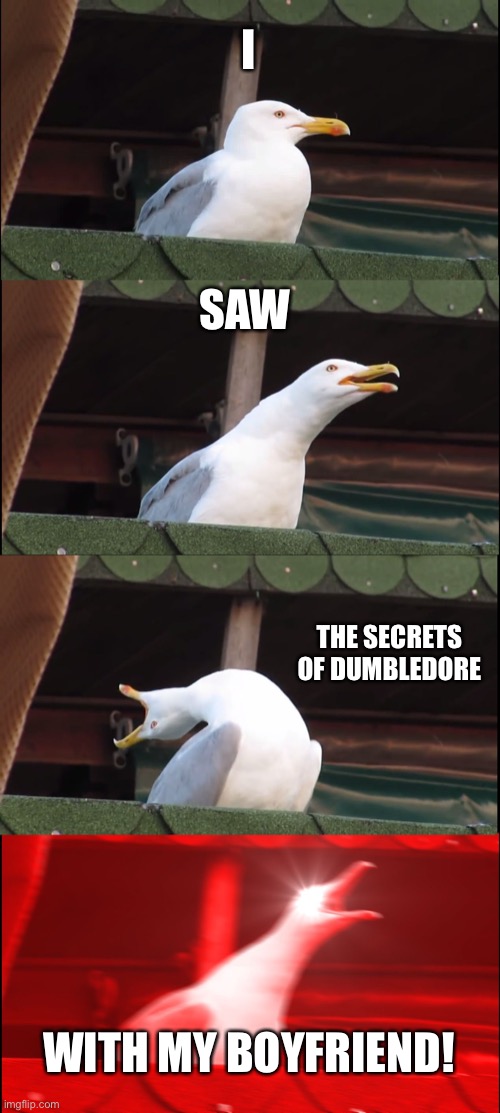 Does this count? | I; SAW; THE SECRETS OF DUMBLEDORE; WITH MY BOYFRIEND! | image tagged in memes,inhaling seagull,fantastic beasts and where to find them,boyfriend | made w/ Imgflip meme maker