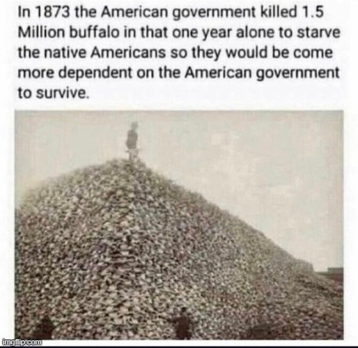 American natives | image tagged in american natives | made w/ Imgflip meme maker