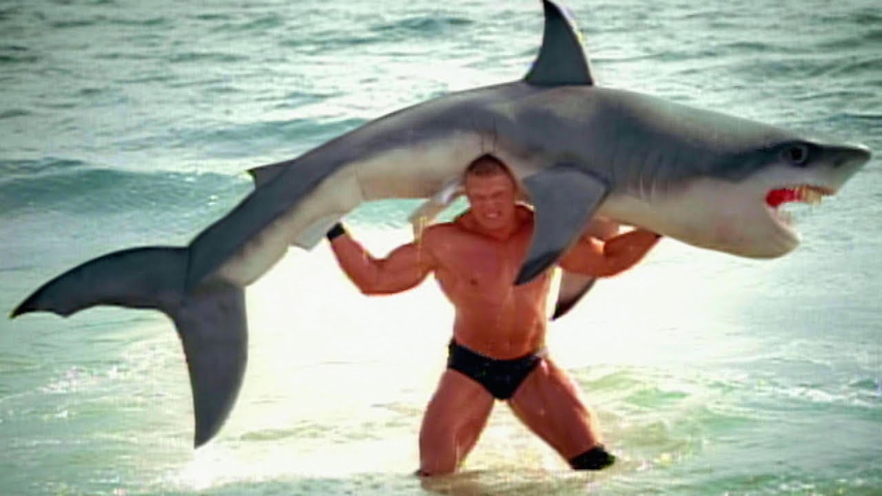 High Quality Brock Lesnar F5s a shark Blank Meme Template