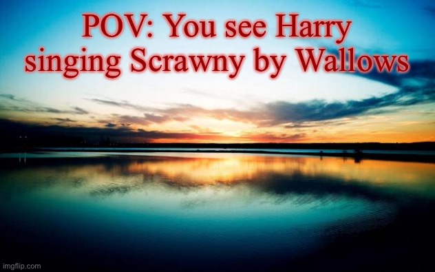Sunset | POV: You see Harry singing Scrawny by Wallows | image tagged in sunset | made w/ Imgflip meme maker