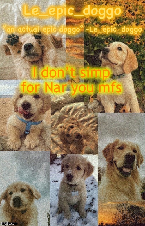 Doggo temp by doggo. Wait what that’s confusing | I don’t simp for Nar you mfs | image tagged in doggo temp by doggo wait what that s confusing | made w/ Imgflip meme maker