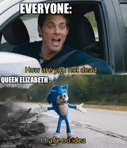 I don’t have a girl | EVERYONE:; QUEEN ELIZABETH : | image tagged in sonic i have no idea,queen elizabeth,bruh | made w/ Imgflip meme maker