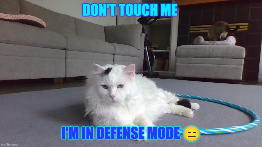 defense | DON'T TOUCH ME; I'M IN DEFENSE MODE 😑 | image tagged in funny memes | made w/ Imgflip meme maker
