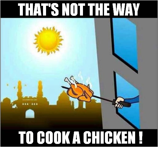 Don't Eat That ! | THAT'S NOT THE WAY; TO COOK A CHICKEN ! | image tagged in fun,chicken,the sun,food during | made w/ Imgflip meme maker