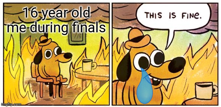 This Is Fine | 16 year old me during finals | image tagged in memes,this is fine,high school,funny | made w/ Imgflip meme maker