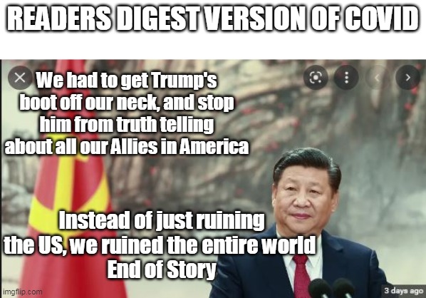 There was never a chance he would've lost without it | READERS DIGEST VERSION OF COVID; We had to get Trump's boot off our neck, and stop him from truth telling about all our Allies in America; Instead of just ruining the US, we ruined the entire world 
End of Story | image tagged in trump did prove the corruption is too systemic to be corrected,look what they had to do to get rid of him | made w/ Imgflip meme maker