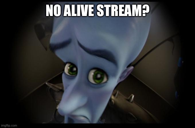 NO ALIVE STREAM? | image tagged in no b es | made w/ Imgflip meme maker