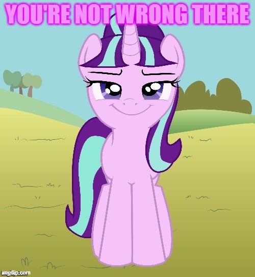 YOU'RE NOT WRONG THERE | image tagged in don't you starlight glimmer | made w/ Imgflip meme maker