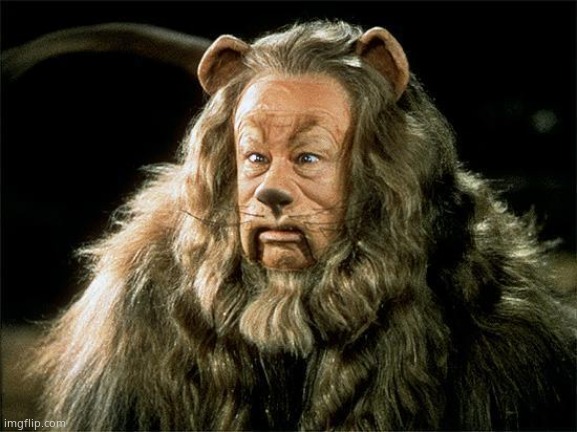 cowardly lion | image tagged in cowardly lion | made w/ Imgflip meme maker