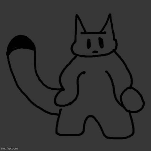 the cat is a  boy | image tagged in memes,blank transparent square | made w/ Imgflip meme maker