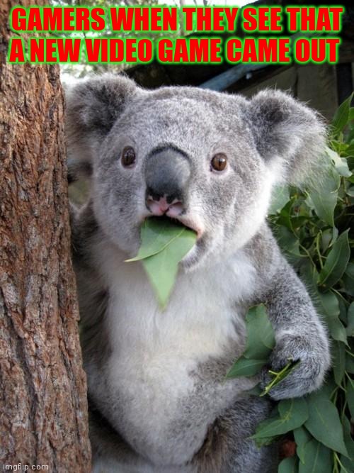 Gamers lol | GAMERS WHEN THEY SEE THAT A NEW VIDEO GAME CAME OUT | image tagged in memes,surprised koala,funny | made w/ Imgflip meme maker