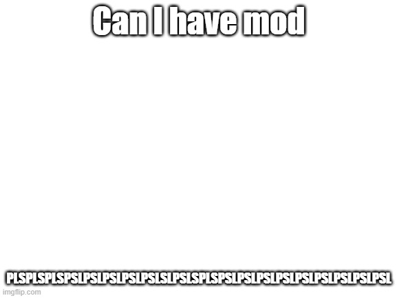 pls gib me mod plsplspls | Can I have mod; PLSPLSPLSPSLPSLPSLPSLPSLSLPSLSPLSPSLPSLPSLPSLPSLPSLPSLPSLPSL | image tagged in blank white template | made w/ Imgflip meme maker