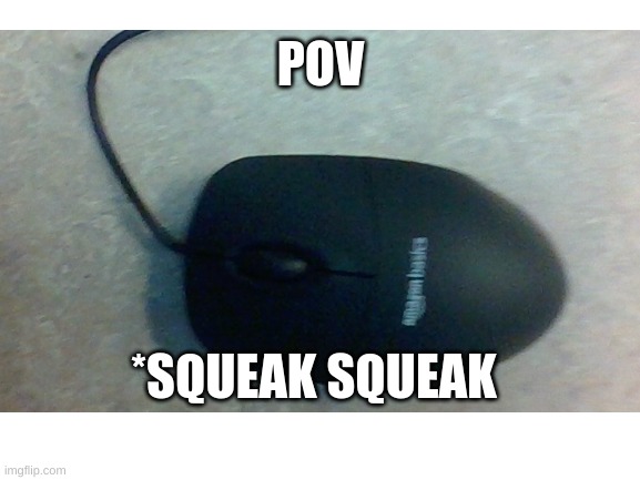 just a mouse | POV; *SQUEAK SQUEAK | image tagged in mouse | made w/ Imgflip meme maker