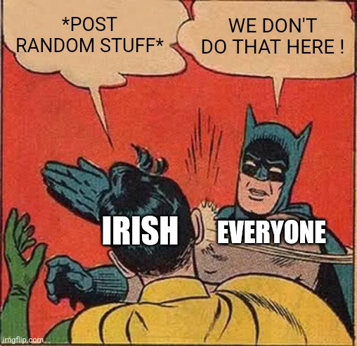 Irish stop | *POST RANDOM STUFF*; WE DON'T DO THAT HERE ! IRISH; EVERYONE | image tagged in memes,batman slapping robin | made w/ Imgflip meme maker