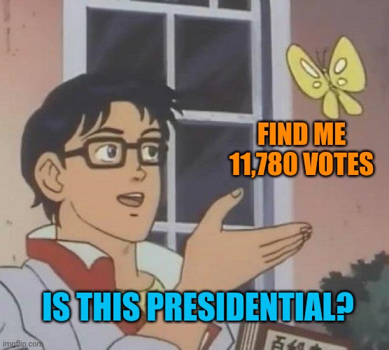 Give him a break | FIND ME 11,780 VOTES; IS THIS PRESIDENTIAL? | image tagged in memes,is this a pigeon | made w/ Imgflip meme maker