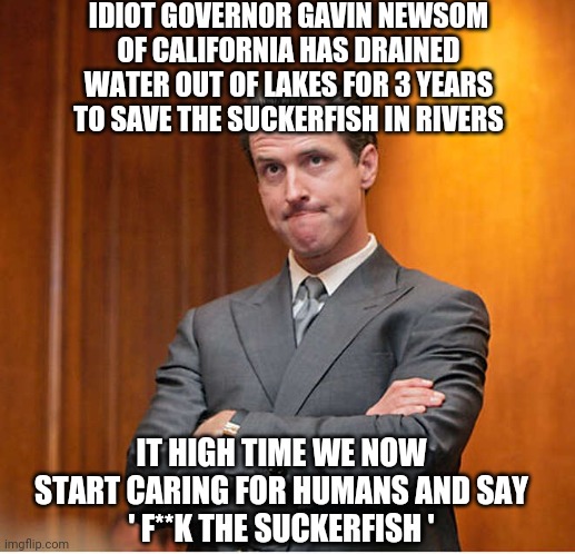 Humans, not suckers | IDIOT GOVERNOR GAVIN NEWSOM OF CALIFORNIA HAS DRAINED WATER OUT OF LAKES FOR 3 YEARS TO SAVE THE SUCKERFISH IN RIVERS; IT HIGH TIME WE NOW START CARING FOR HUMANS AND SAY
' F**K THE SUCKERFISH ' | image tagged in newsom,drought,california,green energy,liberals,democrats | made w/ Imgflip meme maker