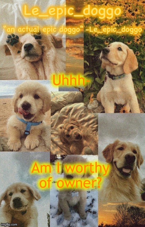 Doggo temp by doggo. Wait what that’s confusing | Uhhh-; Am I worthy of owner? | image tagged in doggo temp by doggo wait what that s confusing | made w/ Imgflip meme maker