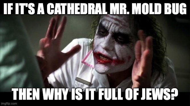 No one BATS an eye | IF IT'S A CATHEDRAL MR. MOLD BUG; THEN WHY IS IT FULL OF JEWS? | image tagged in no one bats an eye | made w/ Imgflip meme maker