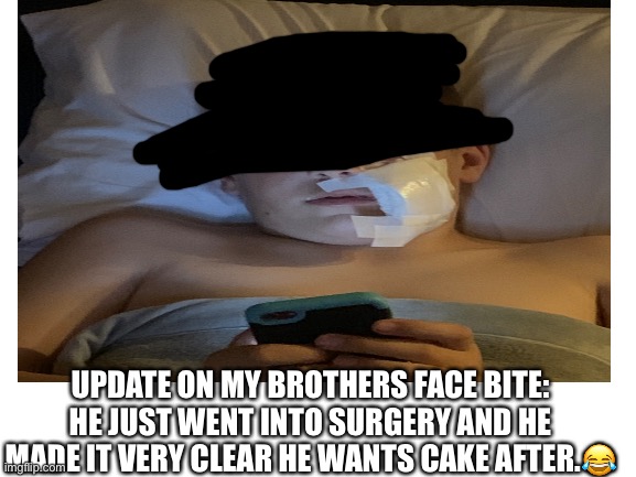 UPDATE ON MY BROTHERS FACE BITE: HE JUST WENT INTO SURGERY AND HE MADE IT VERY CLEAR HE WANTS CAKE AFTER.😂 | image tagged in update,dog,bite | made w/ Imgflip meme maker
