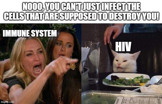 Woman Yelling At Cat Meme | NOOO, YOU CAN'T JUST INFECT THE CELLS THAT ARE SUPPOSED TO DESTROY YOU! IMMUNE SYSTEM; HIV | image tagged in memes,woman yelling at cat | made w/ Imgflip meme maker